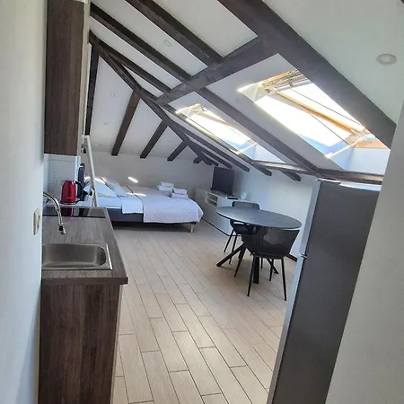 Urban Charming Attic Apartament